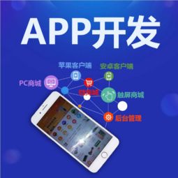 專業App開發如何實現效益快？軟件開發公司的選擇與策略