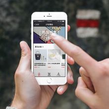 天津市龍華新技術開發公司 玩具、電子產品與軟件的互聯網銷售新勢力